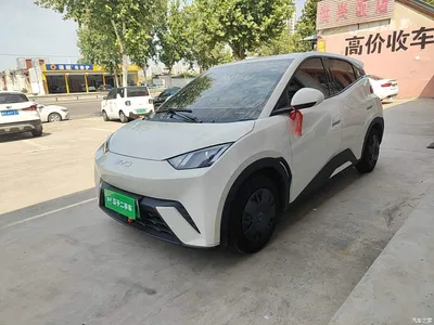 2024 BYD Seagull Glory Edition 305km Vitality Edition, фото 2, лот 10259186