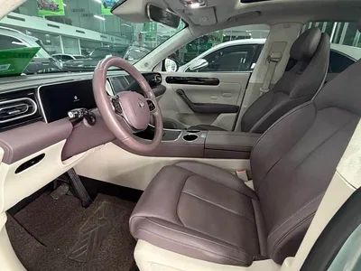 2023 Leapmotor C11 Range Extender 180 Comfort Edition, фото 4, лот 11135993