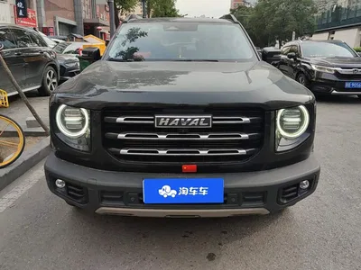 2022 Haval Big Dog 1.5T DCT FWD Border Collie Edition, фото 2, лот 10845871