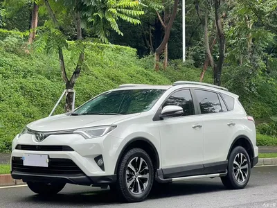 2016 Toyota RAV4 Rongfang 2.0L CVT 2WD Trend (China V), фото 1, лот 10765214