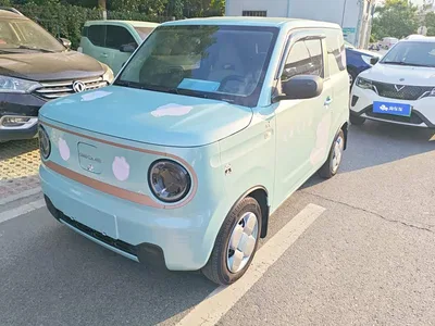 2024 Geely Galaxy Panda mini 200km Endurance Bear, фото 1, лот 10404535