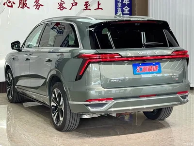 2025 WEY Lanshan AWD Ultra, фото 4, лот 10662917