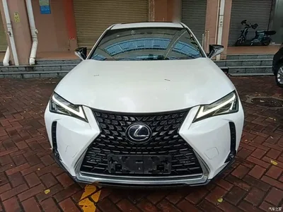 2020 Lexus UX 260h Explore Fun Edition, фото 3, лот 10319204