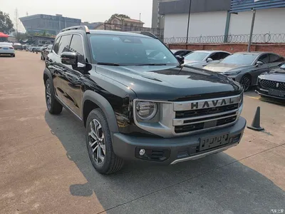 2024 Haval Big Dog 1.5T DCT Border Collie Edition, фото 3, лот 10361947