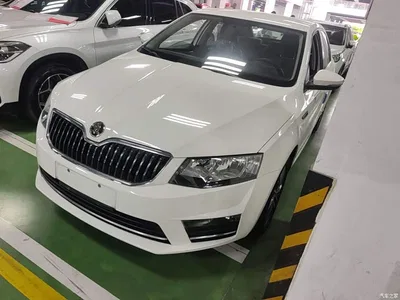 2017 Škoda Octavia 1.6L Automatic Pioneer Edition, фото 2, лот 10387012