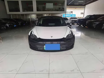 2022 Tesla Model 3 Model Rear-Wheel Drive Version, фото 2, лот 11187086