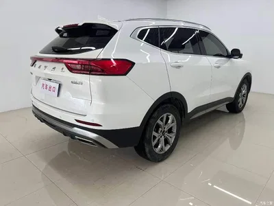 2021 Haval H6 Model National Trend Edition 1.5T Auto Champion, фото 4, лот 10435416