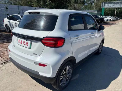 2021 Leapmotor T03 400 Micro Sugar Edition, фото 4, лот 10445130