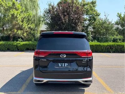 2021 GAC Trumpchi Trumpchi M8 Leading Show Series 390T Premium Edition, фото 4, лот 10419125