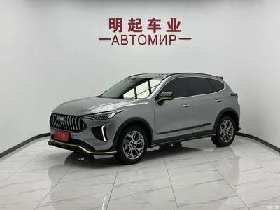 2022 Haval Chitu Power Edition 1.5T Purple Copper Rabbit, фото 1, лот 10296978
