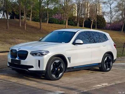 2021 BMW iX3 Facelift Pioneer, фото 2, лот 10475193