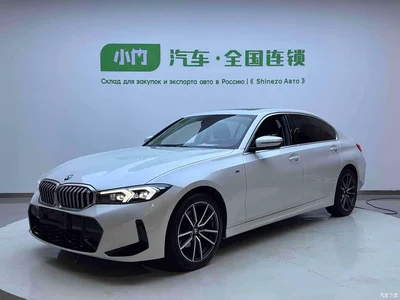 2023 BMW 3 Series 320Li M Sport Package, фото 1, лот 10808479