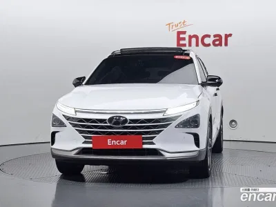 2020 Hyundai Nexo Premium, фото 1, лот 10039869