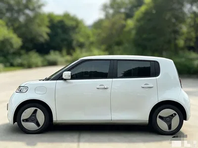 2020 Ora White Cat 360km Luxury Model, фото 3, лот 10331624