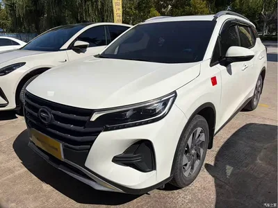 2020 GAC Trumpchi Trumpchi GS4 270T Automatic Elite Tech Version, фото 1, лот 11582375