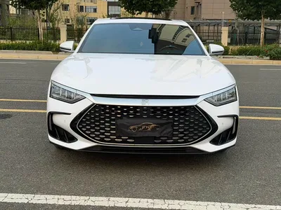 2023 BYD Han DM-i Champion Edition 121KM Honor, фото 2, лот 11527731