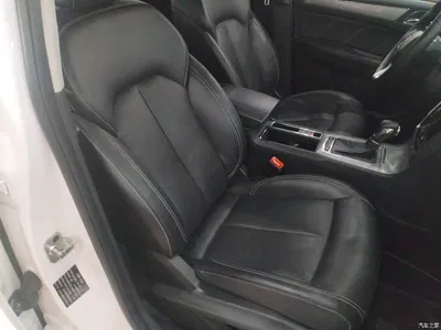 2016 Roewe RX5 20T 2WD Automatic Internet Smart Edition, фото 4, лот 11003274