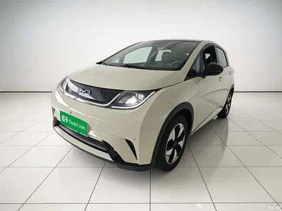 2024 BYD Dolphin Glory Edition 420km Fashion Edition, фото 2, лот 10459947