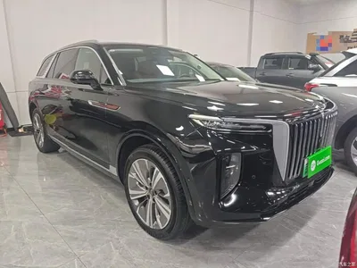 2021 Hongqi E-HS9 460km Flagship Comfort 6-seater, фото 4, лот 10289420