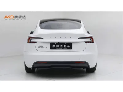 2023 Tesla Model 3 Long Range All-Wheel Drive, фото 4, лот 10626357