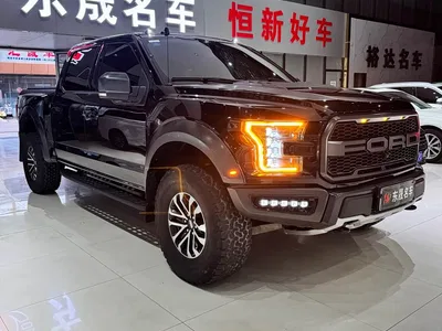 2019 Ford F-150 Raptor 3.5T Raptor Performance Enhanced Edition, фото 1, лот 10396890