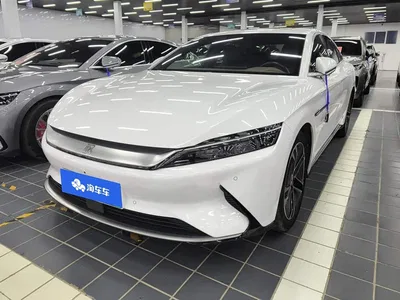 2020 BYD Han EV Extended Range Luxury, фото 1, лот 10689098