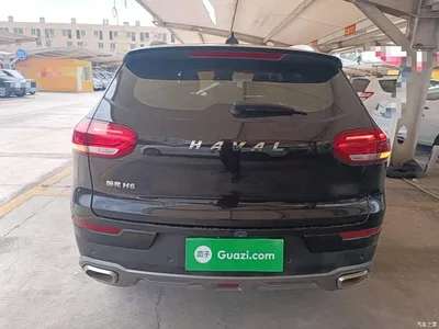 2020 Haval H6 1.5GDIT Automatic Platinum Champion Edition, фото 4, лот 10417380