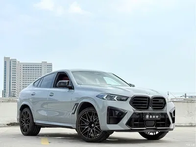 2023 BMW X6 M Model X6 M Thunder Edition, фото 3, лот 10407135