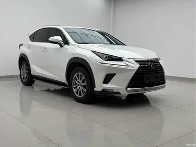 2020 Lexus NX 200 AWD F Sport China V, фото 2, лот 10319002