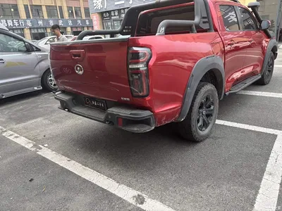 2020 Great Wall Pao 2.0T Off-Road Auto Gasoline 4WD Limited Edition Trailer Version GW4C20B, фото 3, лот 10612176