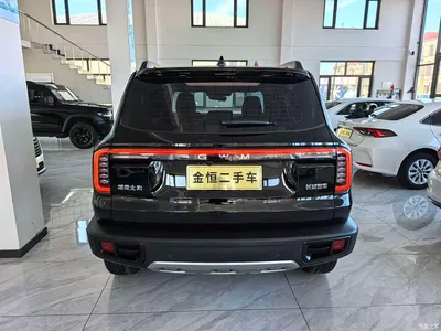 2026 Haval Big Dog Model 1.5T High Configuration, фото 4, лот 10361549