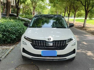 2024 Škoda Kodiaq GT TSI380 4WD Flagship Edition, фото 2, лот 10348397
