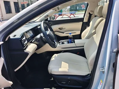 2025 BYD Qin L DM-i Smart Drive 80KM Premium, фото 4, лот 10248702