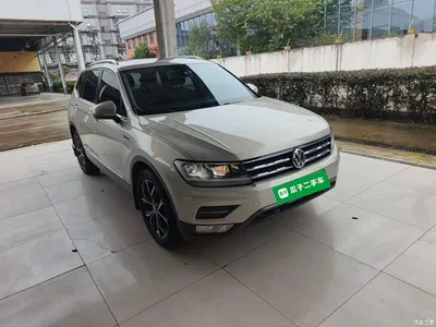 2020 Volkswagen Tiguan L 330TSI Auto 2WD Smart Luxury China VI, фото 4, лот 10462323