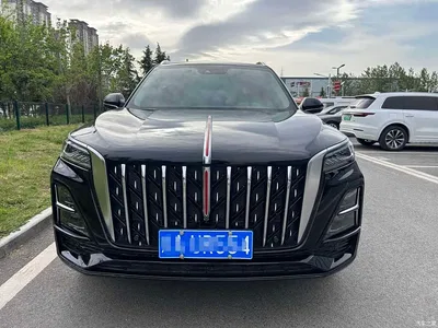 2023 Hongqi HS5 2.0T AWD Flag Pro 500,000 Units Commemorative Edition, фото 2, лот 10361010