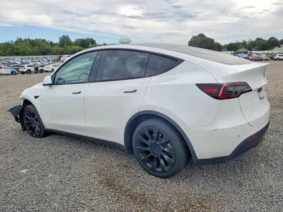 2023 TESLA MODEL Y, фото 2, лот 10857109