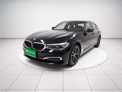 2020 BMW 5 Series Model 530Li Executive Luxury Package, фото 1, лот 11188512