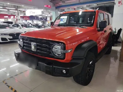 2021 Tank 300 Off-road Version 2.0T Conqueror, фото 2, лот 10345393