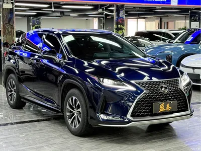 2020 Lexus RX 300 2WD Elite Edition China VI, фото 3, лот 10312094
