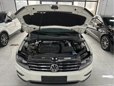 2019 Volkswagen Tiguan L 330TSI Automatic 2WD Panorama Comfort Edition China VI, фото 4, лот 10416928