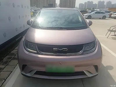 2021 BYD Dolphin Model 405km Fashion Edition, фото 3, лот 11190093
