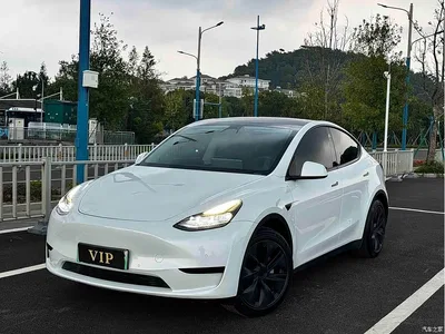 2023 Tesla Model Y Rear-Wheel Drive Edition, фото 1, лот 10395637