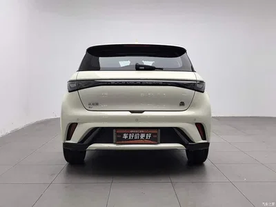 2023 BYD Dolphin 420km Fashion Edition, фото 4, лот 10249958