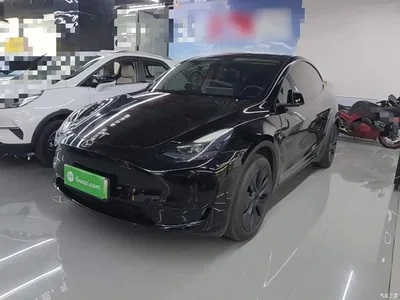 2023 Tesla Model Y Rear-Wheel Drive Edition, фото 1, лот 10455491