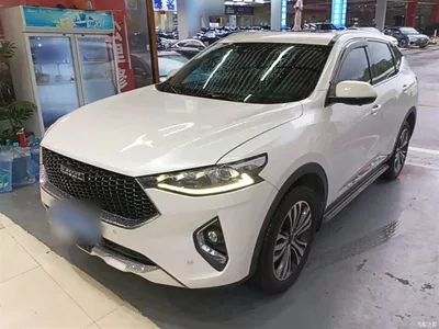 2019 Haval F7 2.0T 4WD i-Joy China VI, фото 1, лот 10286765
