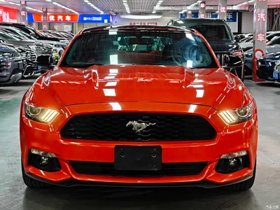 2016 Ford Mustang 2.3T Performance Edition, фото 2, лот 10280499