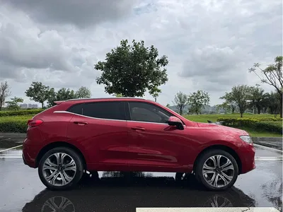 2017 WEY VV5 2.0T Flagship Model, фото 4, лот 10451334