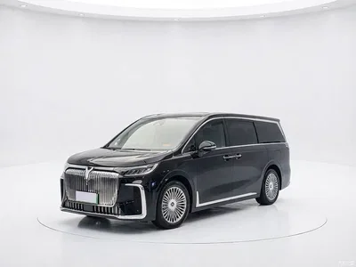 2025 Voyah Auto Voyah Dreamer PHEV AWD Flagship Kunpeng Edition, фото 1, лот 11181469