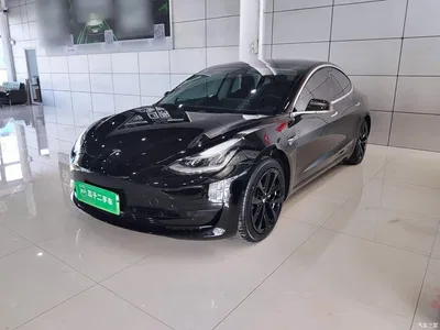 2020 Tesla Model 3 Standard Range Rear-Wheel Drive Upgrade, фото 1, лот 10817148