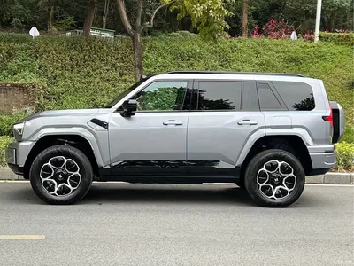 2025 Mengshi M817 Urban Edition High Spec, фото 3, лот 11643993